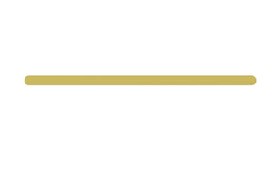 Statesman Towel Rail Single 600mm Brushed Brass