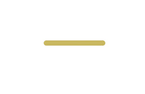 Statesman Towel Bar Brushed Brass