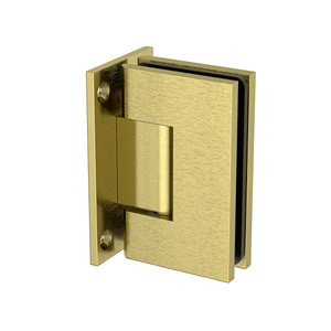 Boston Wall to Glass Heavy Duty Hinge with T Type Mounting Plate - Brushed Brass