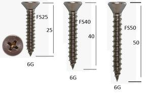 FS40 Screws Polished Gold