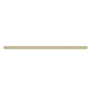 Pinnacles Towel Rail Single 800 mm Gold Brushed