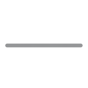 Pinnacles Towel Rail Double 600mm Brushed Gun Metal
